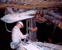 Roof screen in use