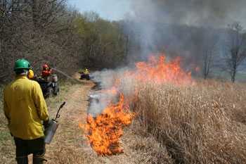 Wildland firefighters