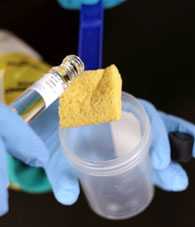 testing sample