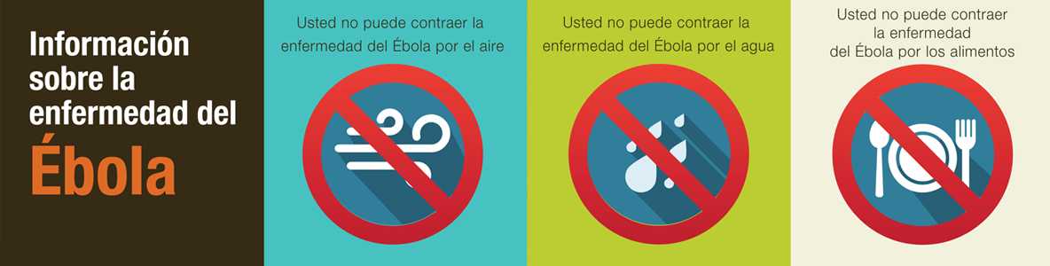 You can't get Ebola through air, water, or food (Infographic)
