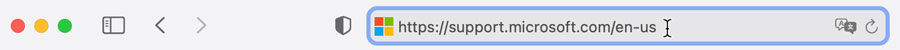 Pasting URL into address bar Pasting URL into address bar