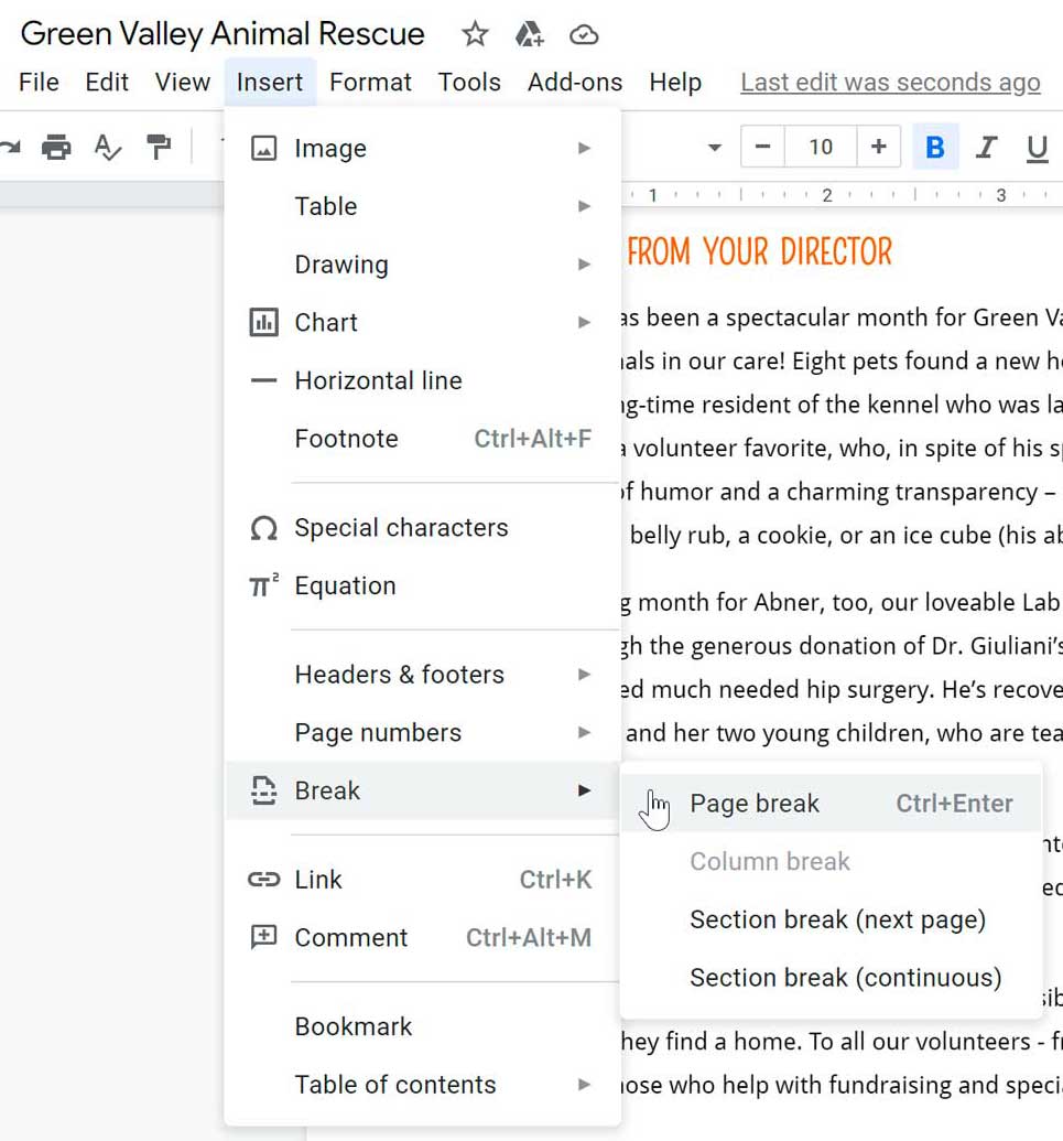 inserting a page break in the document inserting a page break in the document