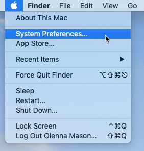 screenshot of selecting System Preferences from the Apple menu screenshot of selecting System Preferences from the Apple menu