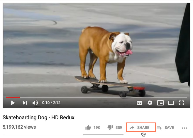 screenshot of the Share icon on YouTube screenshot of the Share icon on YouTube
