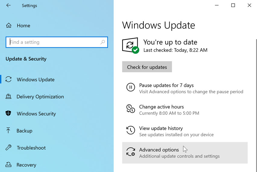 accessing advanced update options accessing advanced update options