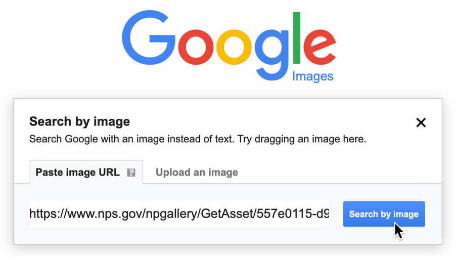 Paste image URL Paste image URL