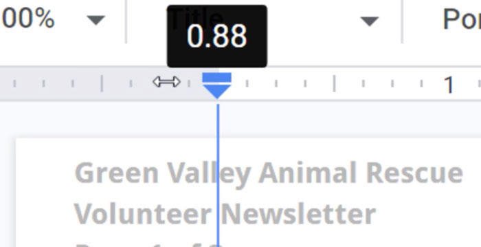 adjusting margins with ruler adjusting margins with ruler