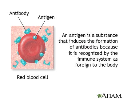 Antigens
